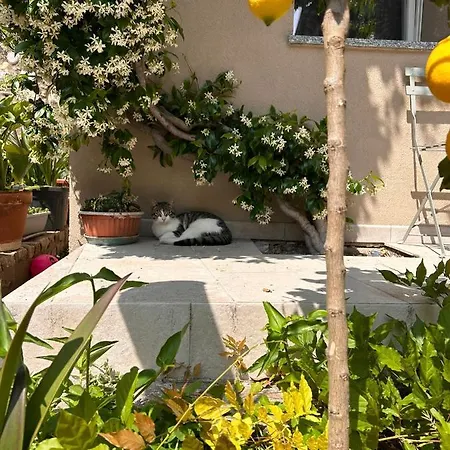 Alojamento de Acomodação e Pequeno-almoço Bea Trees - Garda Puegnago