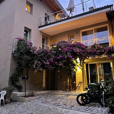 Bea Trees - Garda 3*